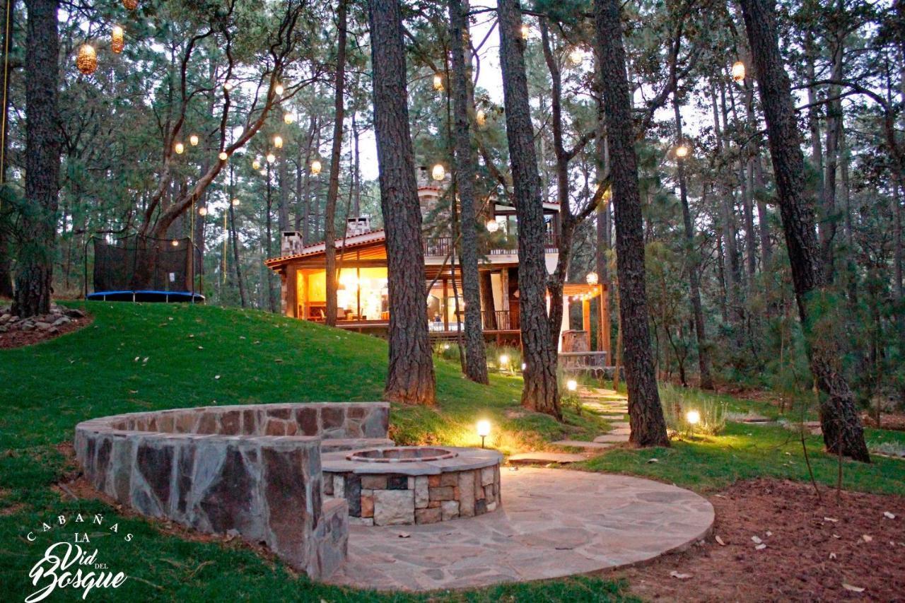 Cabanas La Vid Del Bosque Hotel Tapalpa Luaran gambar